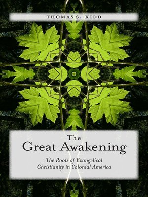 cover image of The Great Awakening